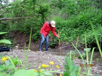 Krissy Hopkins in Panther Hollow Run