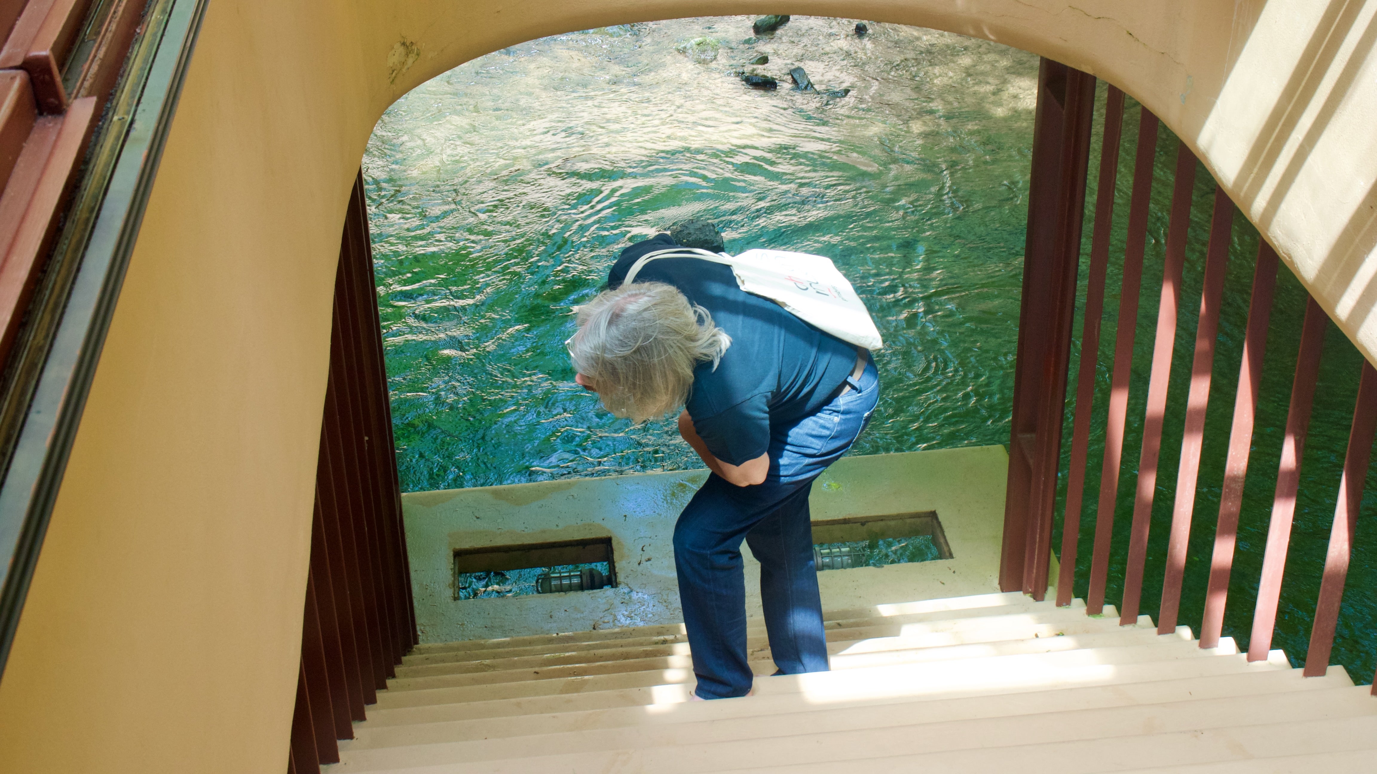 Professor Drew Armstrong checking out the architecture along the side of the stairs of the hatch (note this is normally not available to visitors)  