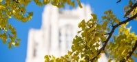 Cathedral of Learning through the trees Cathedral of Learning through the trees