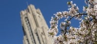 Cathedral of Learning in spring Cathedral of Learning in spring