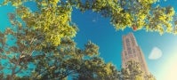 Cathedral of Learning in summer Cathedral of Learning in summer