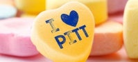 Valentine candy heart with I love Pitt on it Valentine candy heart with I love Pitt on it