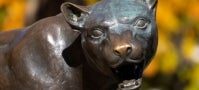 Panther statue in fall Panther statue