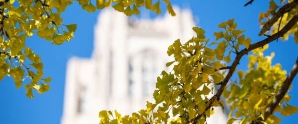 Cathedral of Learning through the trees