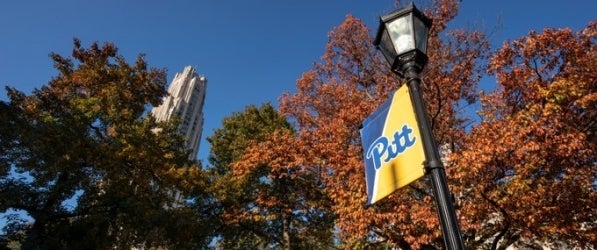 Cathedral of Learning and Pitt flags