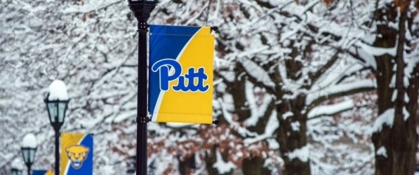 Pitt flags in the snow