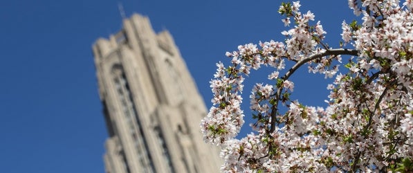 Cathedral in spring Cathedral in spring