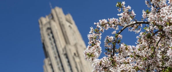 Cathedral of Learning with spring buds