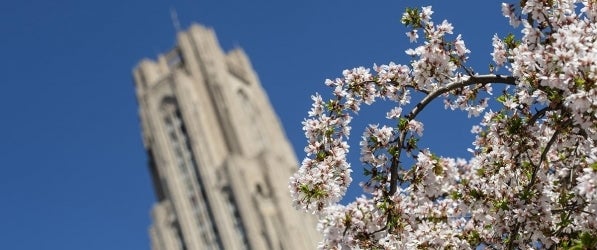 Cathedral of Learning in spring