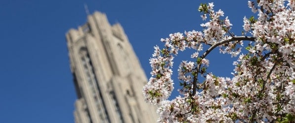 Cathedral of Learning in spring Cathedral of Learning in spring