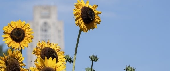 Cathedral of Learning