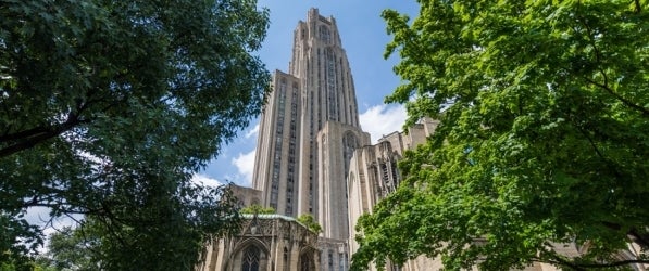 Cathedral with trees and foliage