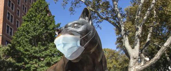 Panther in a mask