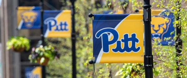 Pitt flags Pitt flags