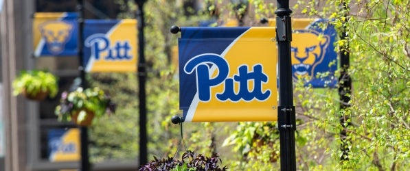 Pitt flags on Pittsburgh campus
