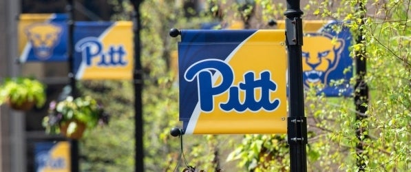 Pitt flags on flagpoles posted across campus Pitt flags on campus