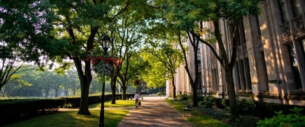 Single man walking past the Cathedral of Learning