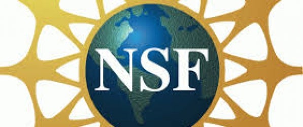 NSF logo NSF logo